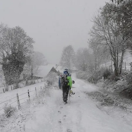 De La Cocotte * Marchastel (Cantal)